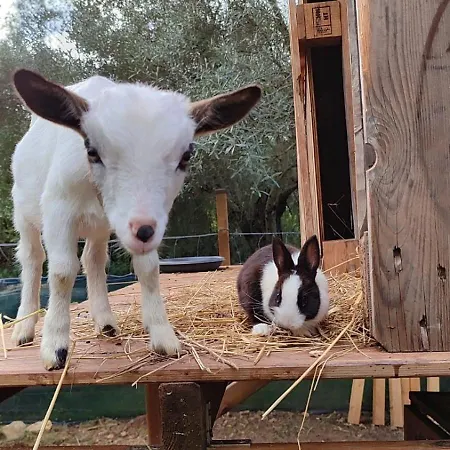 Boeddu, Relax Tra Mare E Campagna Villa *