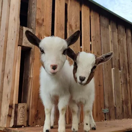 Villa Boeddu, Relax Tra Mare E Campagna *