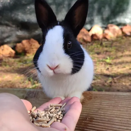 Villa Boeddu, Relax Tra Mare E Campagna