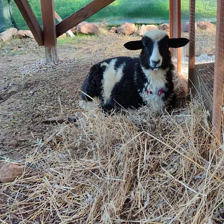 Boeddu, Relax Tra Mare E Campagna *
