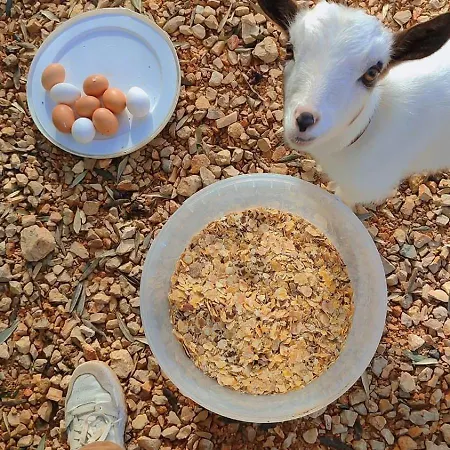Villa Boeddu, Relax Tra Mare E Campagna