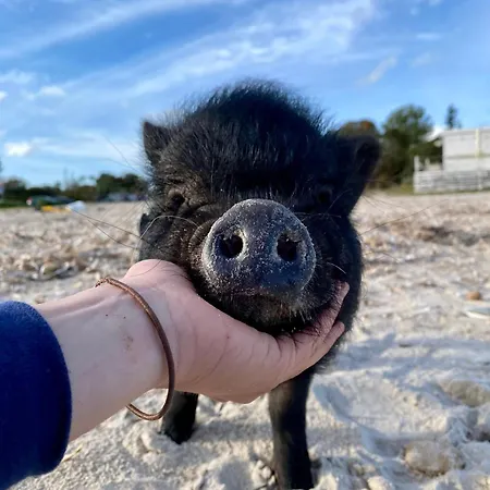 Willa Boeddu, Relax Tra Mare E Campagna Alghero