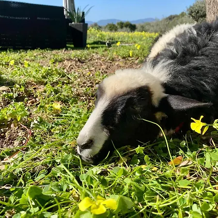 Boeddu, Relax Tra Mare E Campagna