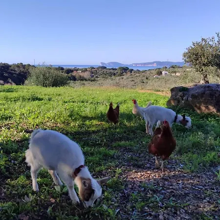 Boeddu, Relax Tra Mare E Campagna Willa