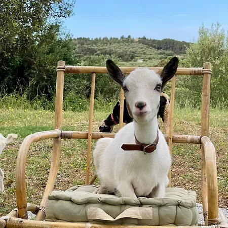 Willa Boeddu, Relax Tra Mare E Campagna *