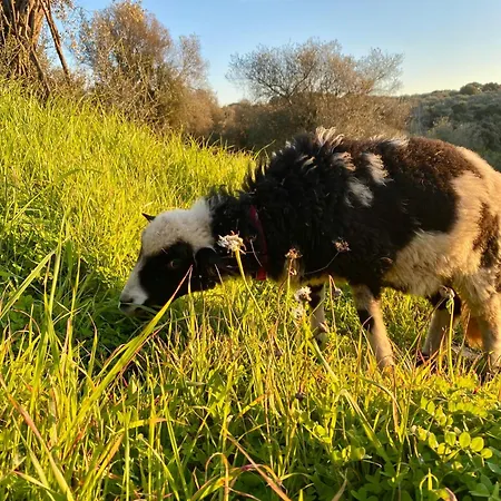 Vila Boeddu, Relax Tra Mare E Campagna *