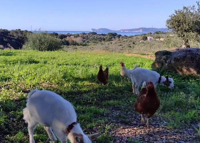Boeddu, Relax Tra Mare E Campagna Villa