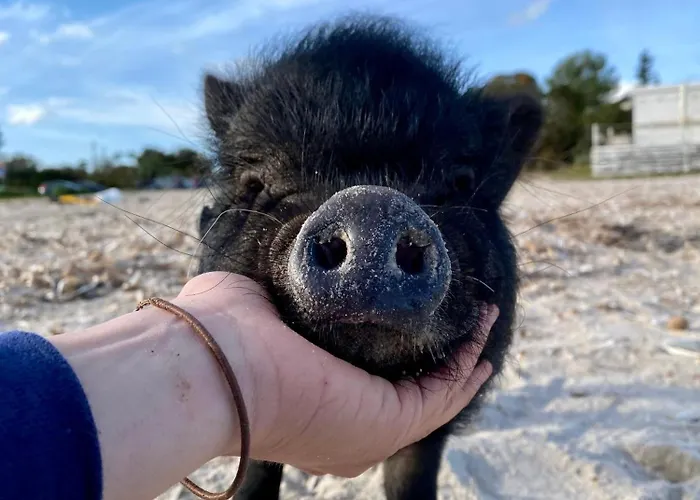 Villa Boeddu, Relax Tra Mare E Campagna Alghero